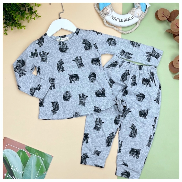 Bộ BG thu đông phối hình 1/5*21