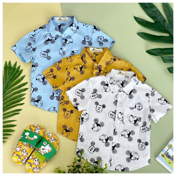 Áo sơ mi BT mickey 6/10*21