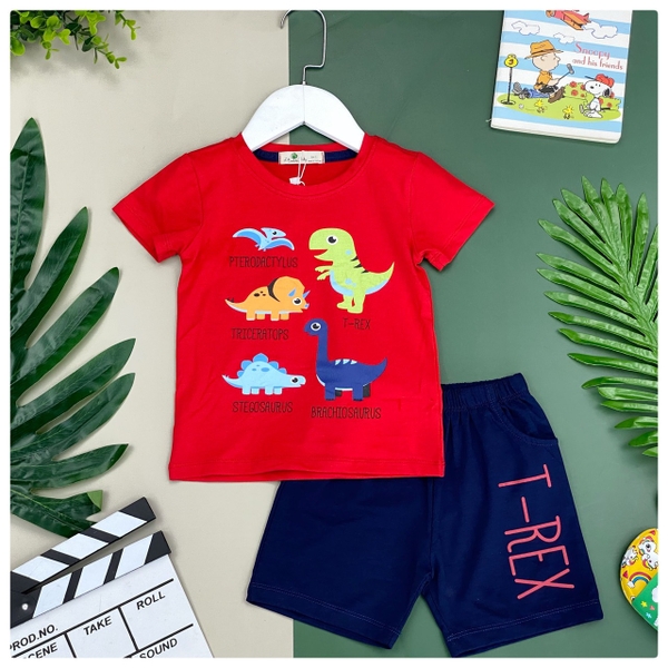 Bộ BT in hình đàn khủng long 1/8*21