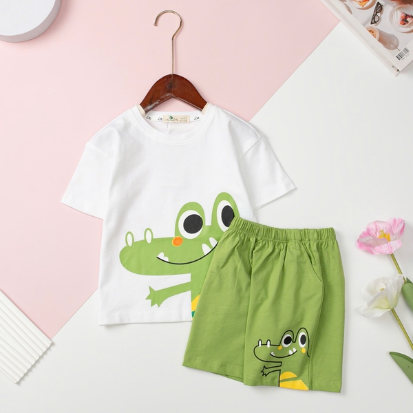 H479 Bộ Cotton BT ngắn tay khủng long gai 2/10 (Ri5)