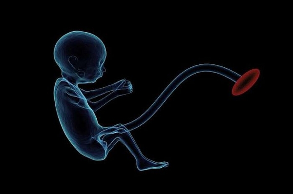 Các em bé trong bụng mẹ phản ứng khác nhau với mùi vị