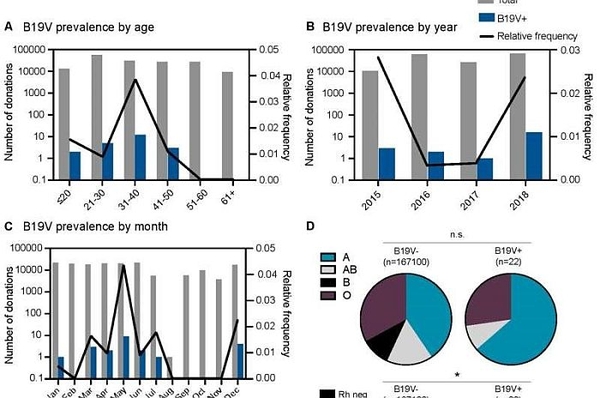 Nhóm máu có thể dự đoán nguy cơ mắc bệnh do vi-rút gây ra