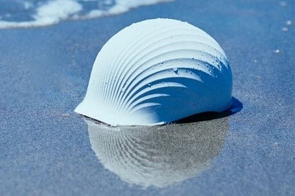 Mũ bảo hiểm Shellmet được làm từ vỏ sò điệp