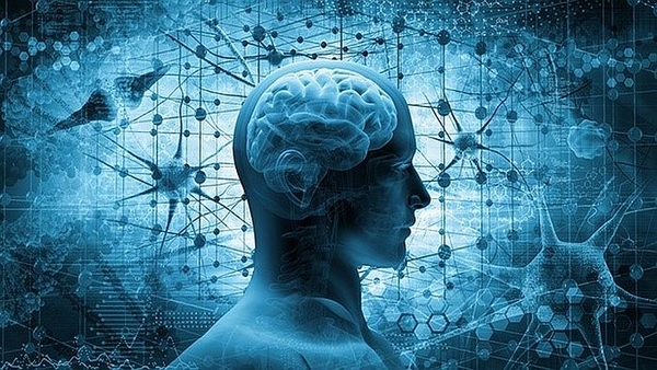 Biến đổi khí hậu có thể gây những rủi ro đối với sức khỏe não bộ