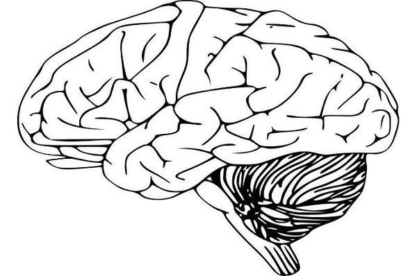 Nghiên cứu mới thách thức những ý tưởng trước đây về bệnh Alzheimer