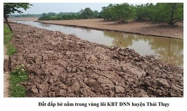 Quản lý đất ngập nước gắn với phát triển kinh tế xã hội vùng ven biển đồng bằng sông Hồng