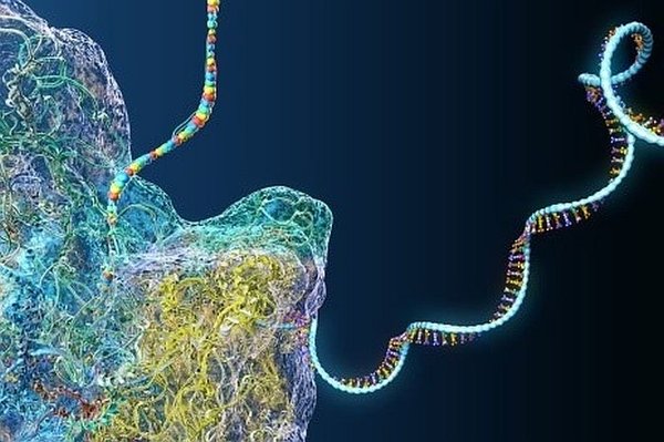 Vắc-xin cúm mRNA có khả năng chống lại 20 chủng vi rút mới sẽ có thể ngăn ngừa các đại dịch cúm trong tương lai