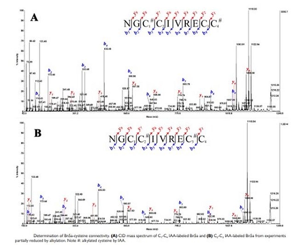 Nghiên cứu các peptides hoạt tính sinh học thần kinh của ốc nón săn nhuyễn thể ở vùng biển Khánh Hòa