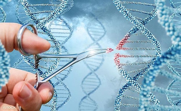 Bệnh di truyền (Genetic disorder) (Cập nhật đến ngày 13/1/2023)