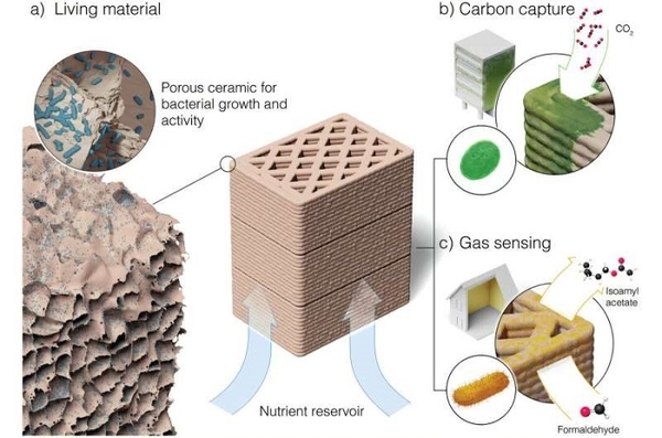 Gốm “sống” sử dụng vi khuẩn để cảm biến khí và thu giữ carbon
