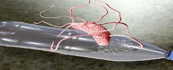 Phát hiện vi khuẩn ăn nhựa có trong nước thải