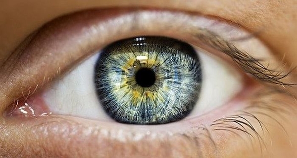 Đột phá trong tế bào võng mạc có thể giúp điều trị mù lòa