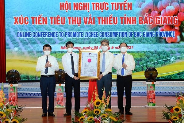 Khoa học và công nghệ góp phần quan trọng nâng cao năng suất, chất lượng và thương hiệu vải thiều Bắc Giang