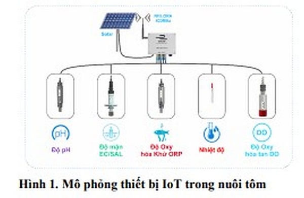 ìm hiểu thị trường thiết bị và giải pháp quan trắc và kiểm soát môi trường nước sử dụng trong nuôi tôm thẻ chân trắng theo hình thức siêu thâm canh, thâm canh và bán thâm canh tại các vùng nuôi tập trung ở Đồng bằng sông Cửu Long