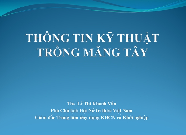 Kỹ thuật trồng măng tây của Nhật