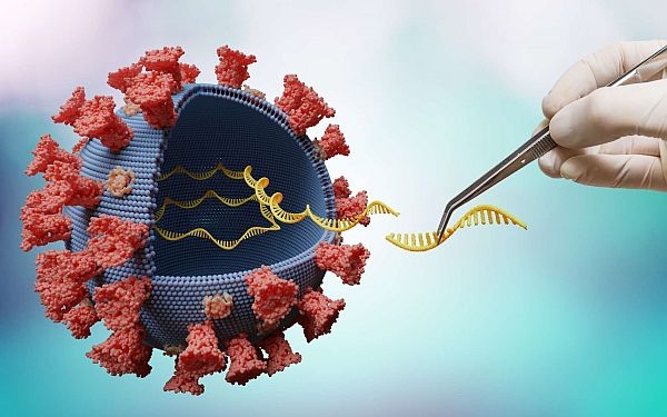 SARS-CoV-2 đột biến ảnh hưởng đến hiệu lực của vaccine?