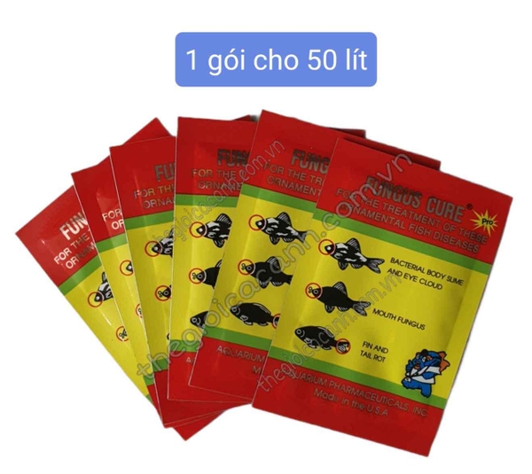 FUNGUS CURE HỖ TRỢ CHO CÁ CẢNH