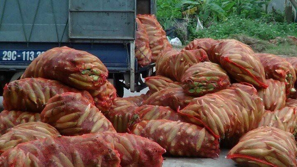 Lưới an toàn công trình