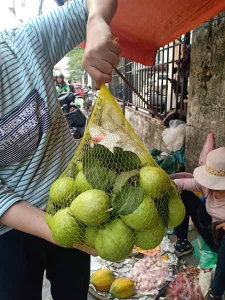 Túi Lưới Đựng Hoa Quả