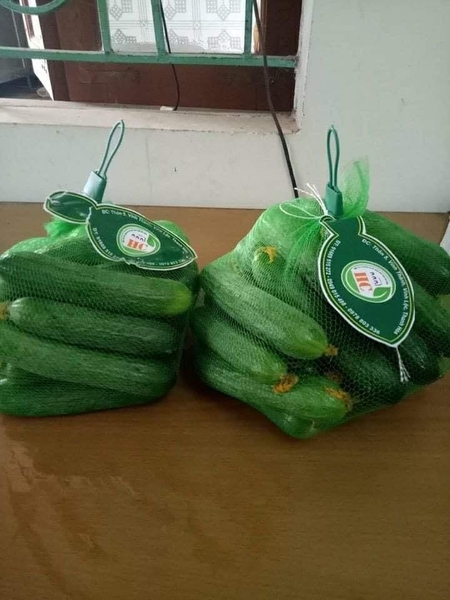 Túi Lưới Đựng Trái Cây