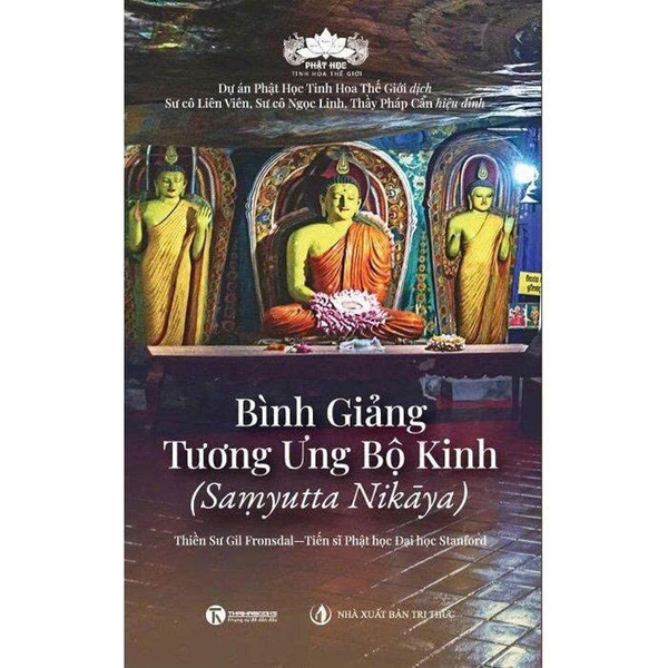 Bình Giảng Tương Ưng Bộ Kinh - Gil Fronsdal