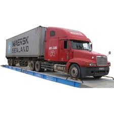 Nhiều bí ẩn trong bức thư họa 