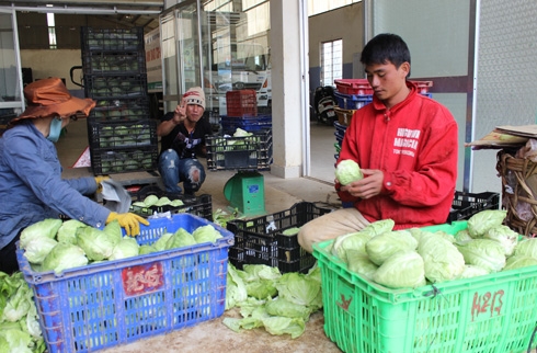 Rau củ quả vào giỏ quà Tết