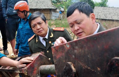 Quảng Bình muốn đưa gỗ sưa tiền tỷ vào bảo tàng