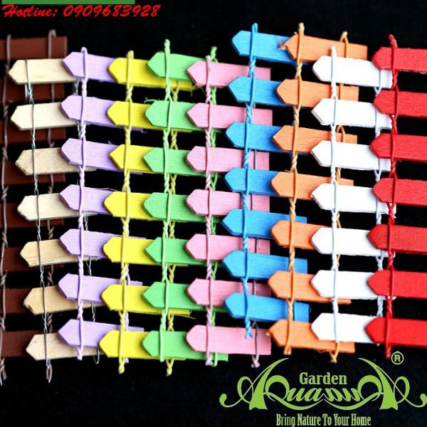 Phụ kiện Terrarium AquaGarden