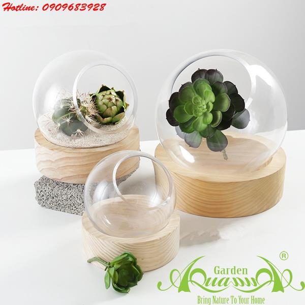 Thủy Tinh AquaGarden