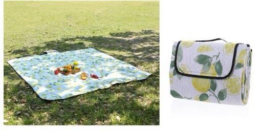 tham-picnic-mau-6-sthap6