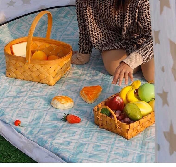 tham-picnic-mau-2-sthap2