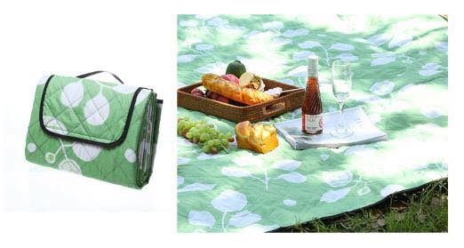 tham-picnic-mau-5-sthap5