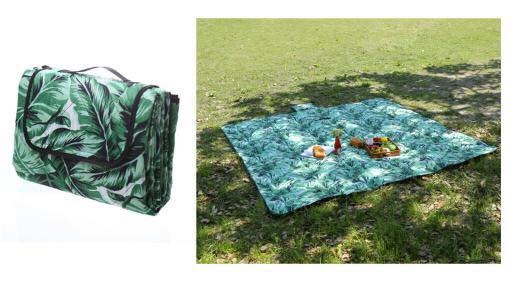 tham-picnic-mau-7-sthap7