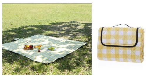 tham-picnic-mau-8-sthap8