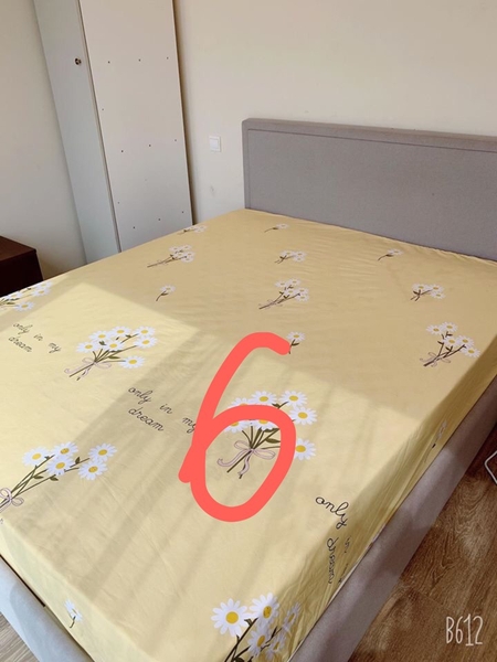 ga-chong-tham-mau-6-sgact6