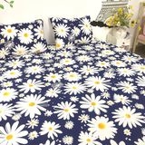 bo-chan-ga-goi-dat-may-theo-yeu-cau-sgam15-cuc-trang