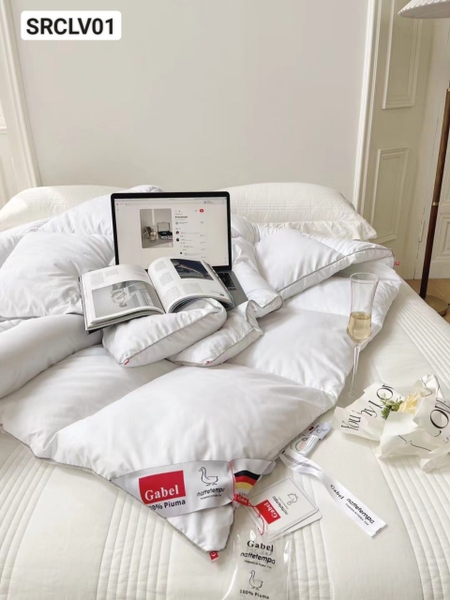 ruot-chan-long-vu-gabel-srclv01