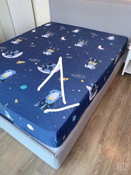 ga-chong-tham-mau-1-sgact1