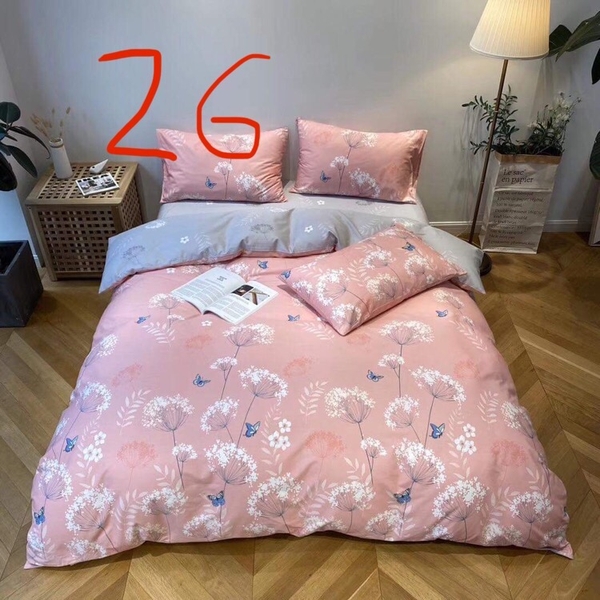 bo-ga-cotton-mau-26-sga790-34