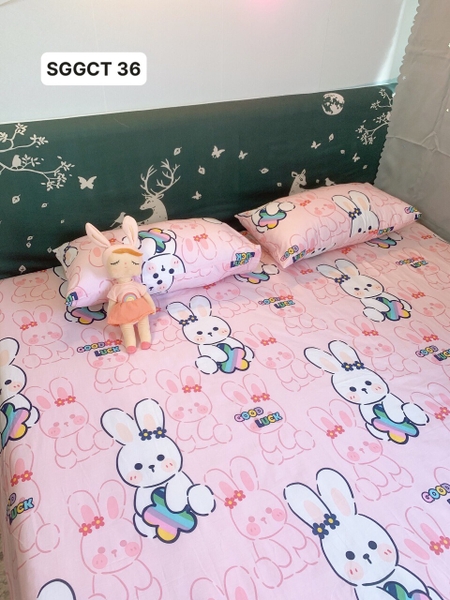 set-ga-goi-cotton-tho-nen-hong-sggct36