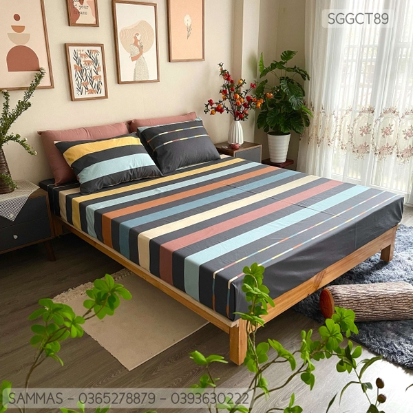 set-ga-goi-cotton-ke-sac-mau-sggct89