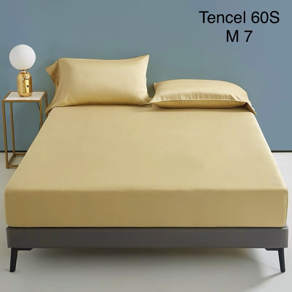 set-ga-goi-tencel-60s-vang-sggtc60-07