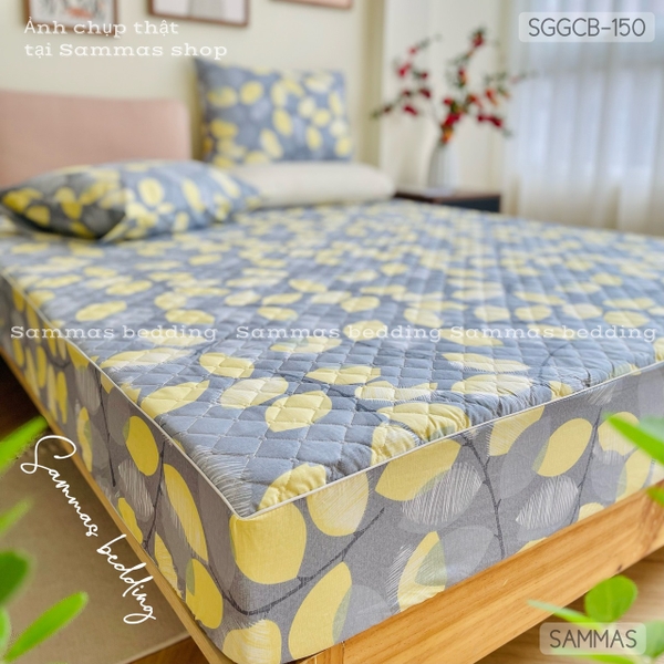 set-ga-goi-chan-bong-la-xam-vang-sggcb150