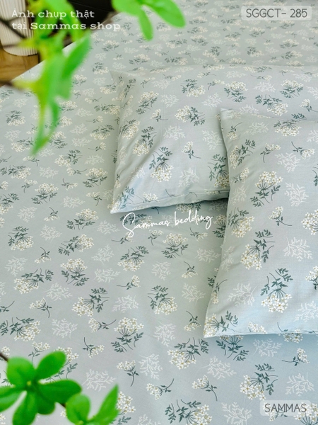 set-ga-goi-cotton-co-ngoc-sggct285