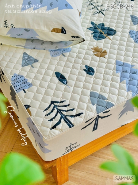 set-ga-goi-chan-bong-rung-thong-sggcb248