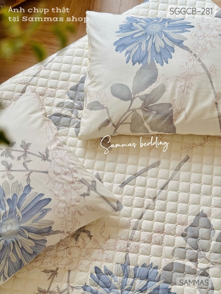 set-ga-goi-chan-bong-hoa-thanh-cuc-sggcb281