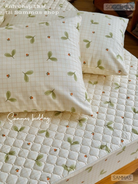 set-ga-goi-chan-bong-la-mam-sggcb301