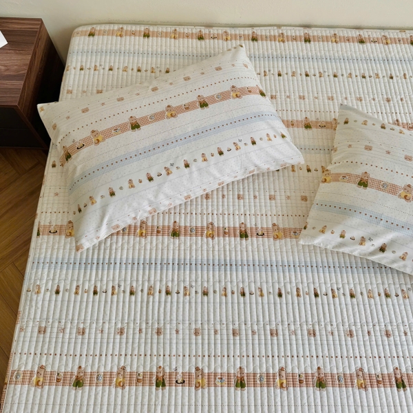 set-ga-goi-cotton-silk-han-hoa-nhi-sggsh69