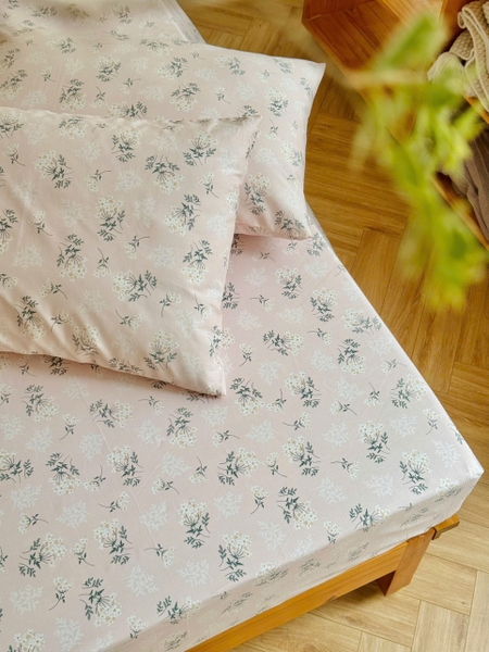 set-ga-goi-cotton-co-hong-sggct359